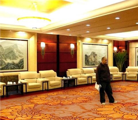 雅尔居酒店大堂地毯11